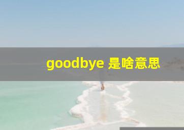 goodbye 是啥意思